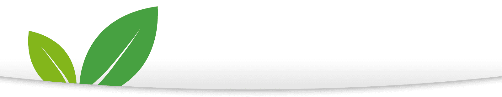 Agro San Isidro S.A.